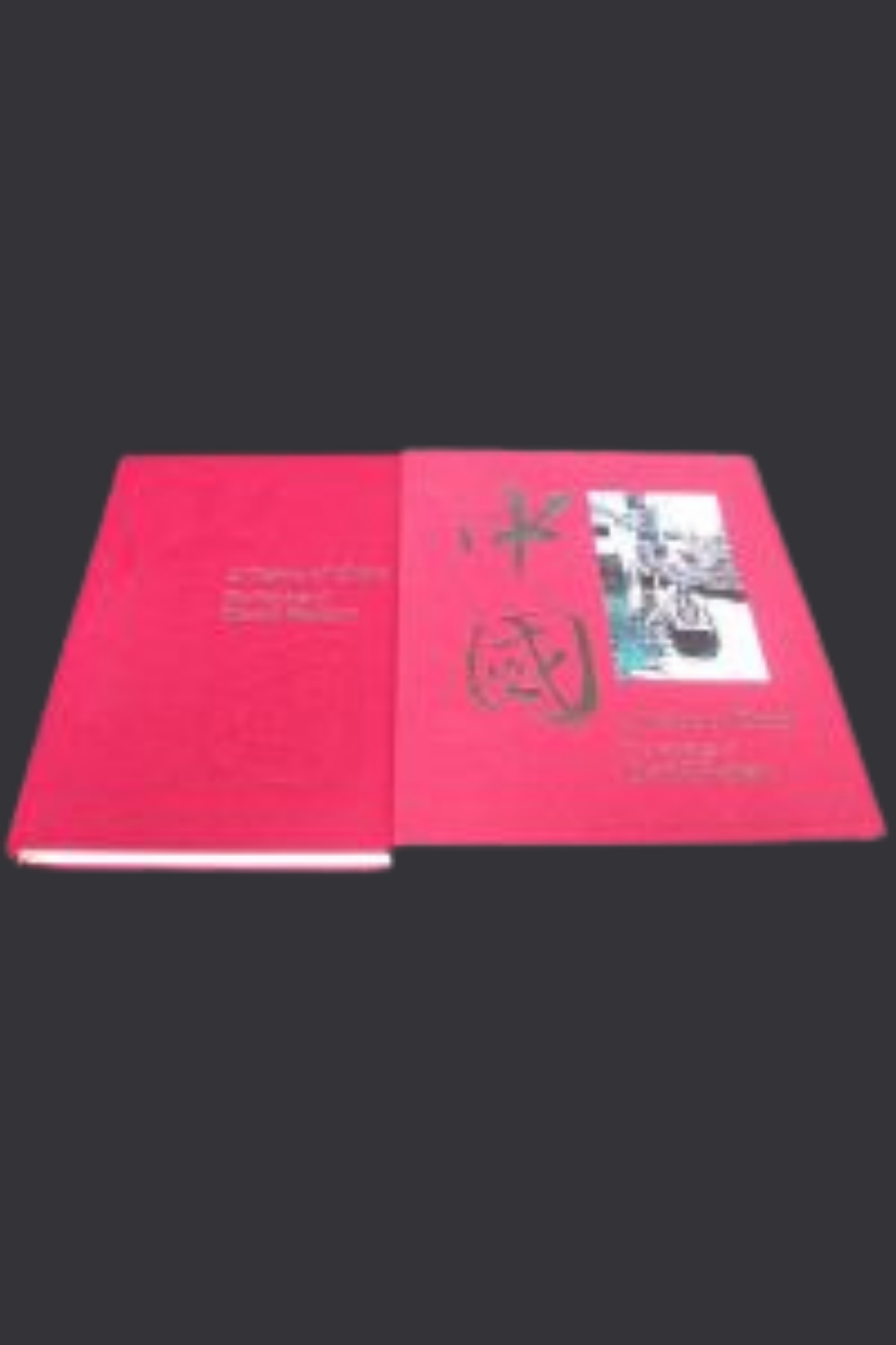 A Vision of China: The Paintings of David Paskett (Limited Edition)