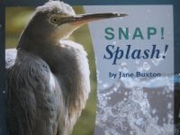 Snap! Splash!